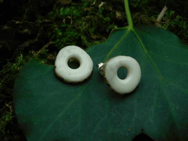 Pions - Cercles